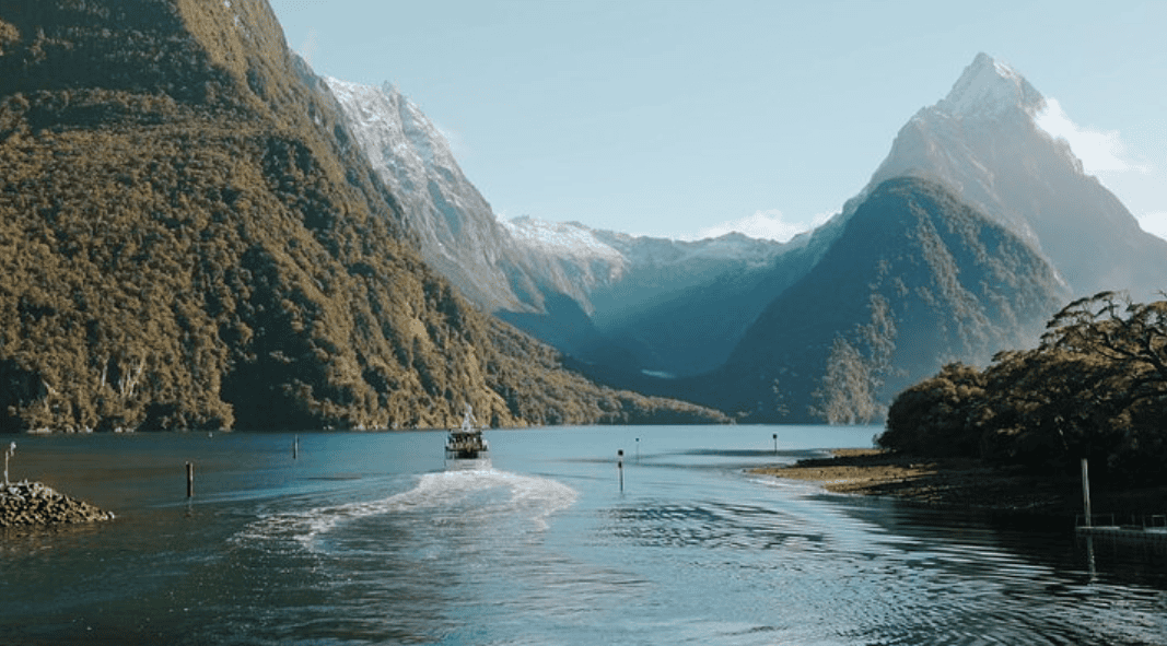 TripAdvisor’s top New Zealand experiences for 2024