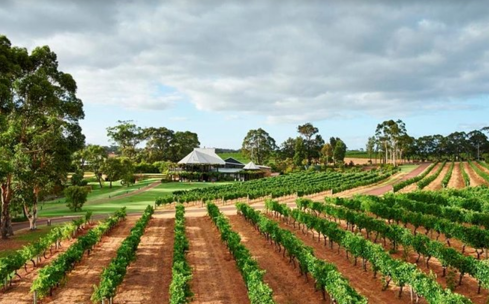 Best wineries for lunch in the Margaret River region