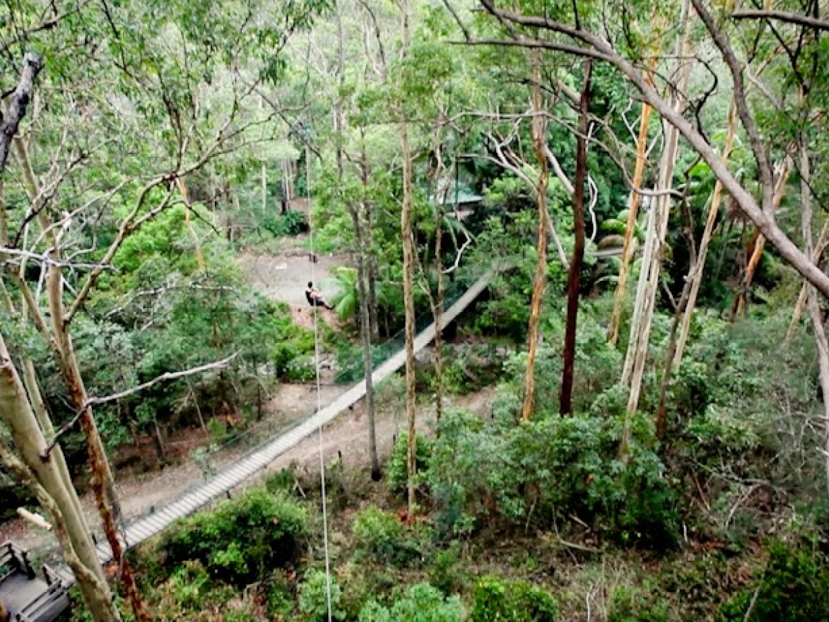Treetop Challenge Gold Coast Australia's Largest Adventure Park