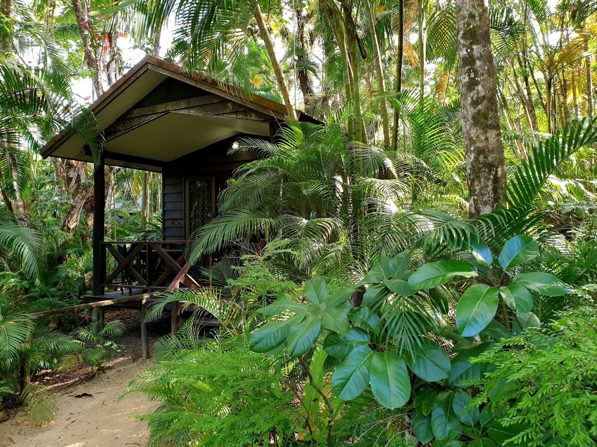 Aquariums In Cairns & Northern Beaches localista