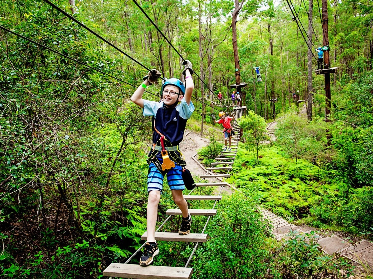 Canyon Flyer Zipline Tour, Australia's Largest Zipline Tour Tamborine