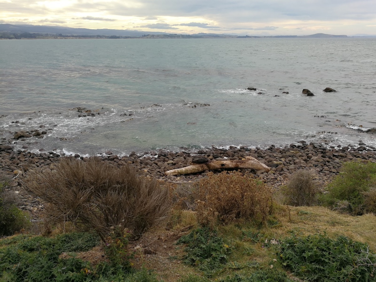 Katiki Point Lighthouse - Moeraki Attractions | localista