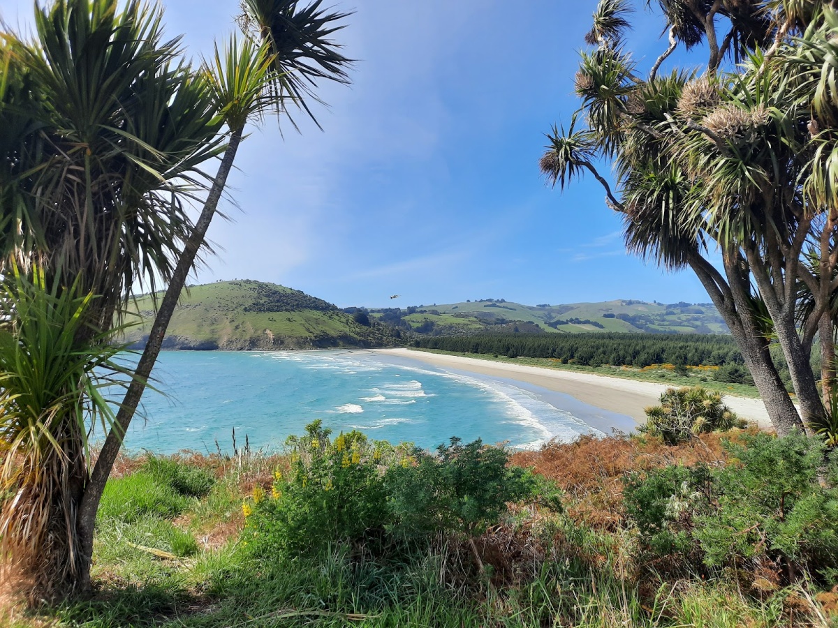 Beaches & Bays In Dunedin Region localista