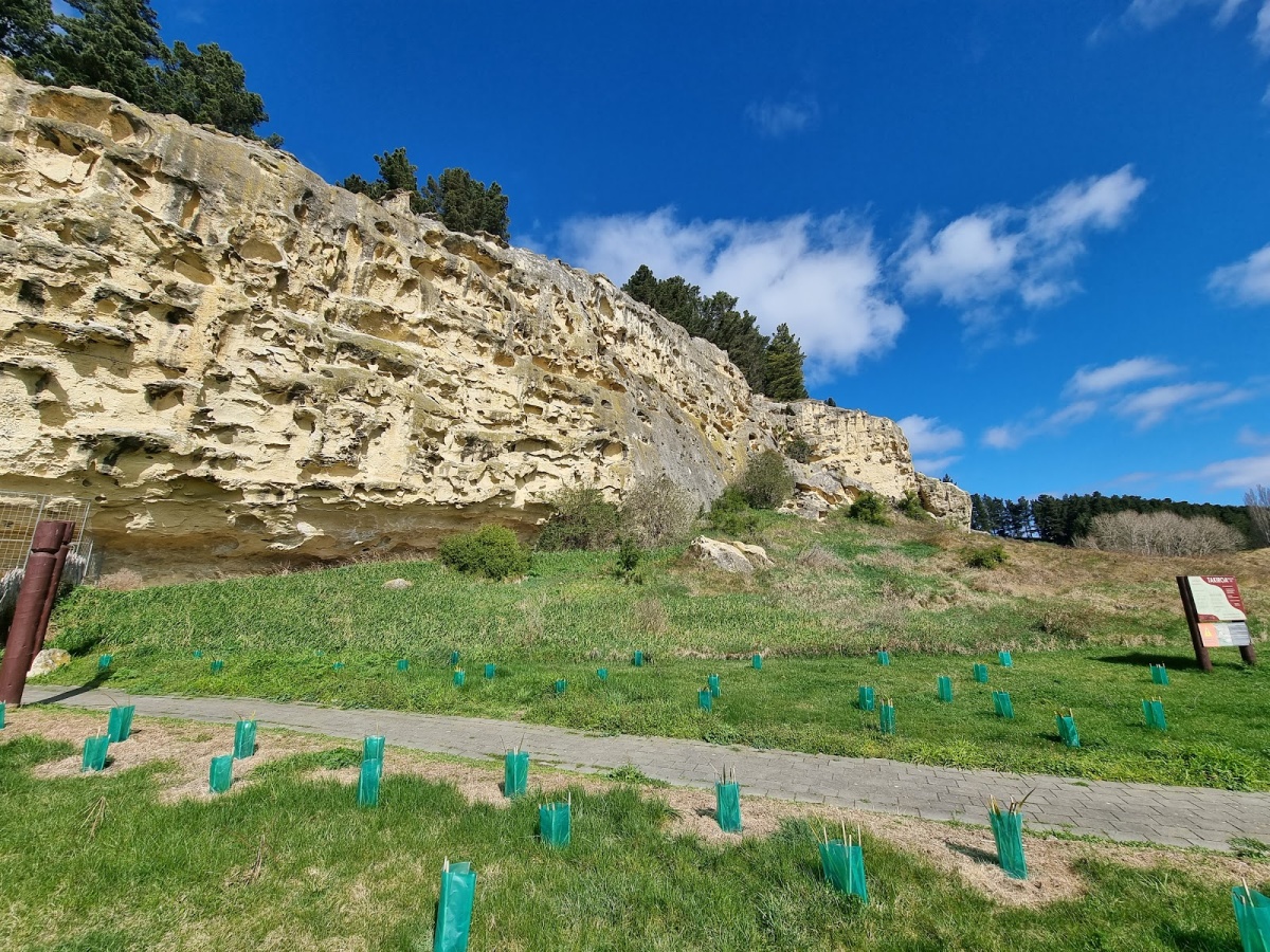 Seal & Penguin Colonies In Oamaru localista