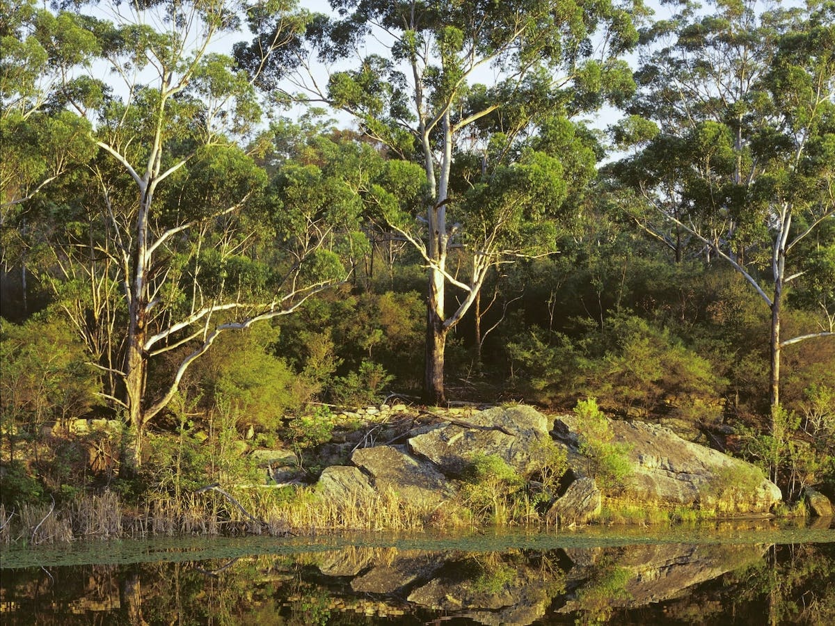 Lake Parramatta Reserve And Recreation Area North Parramatta