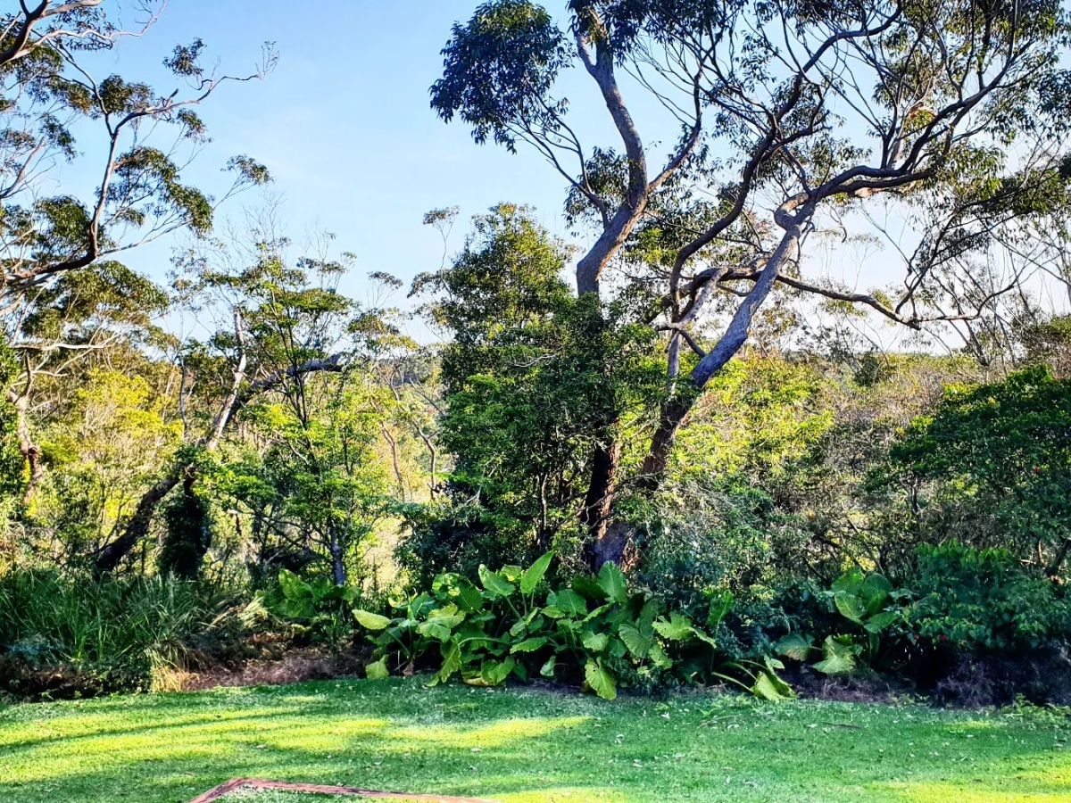 Things To Do In Jervis Bay | localista