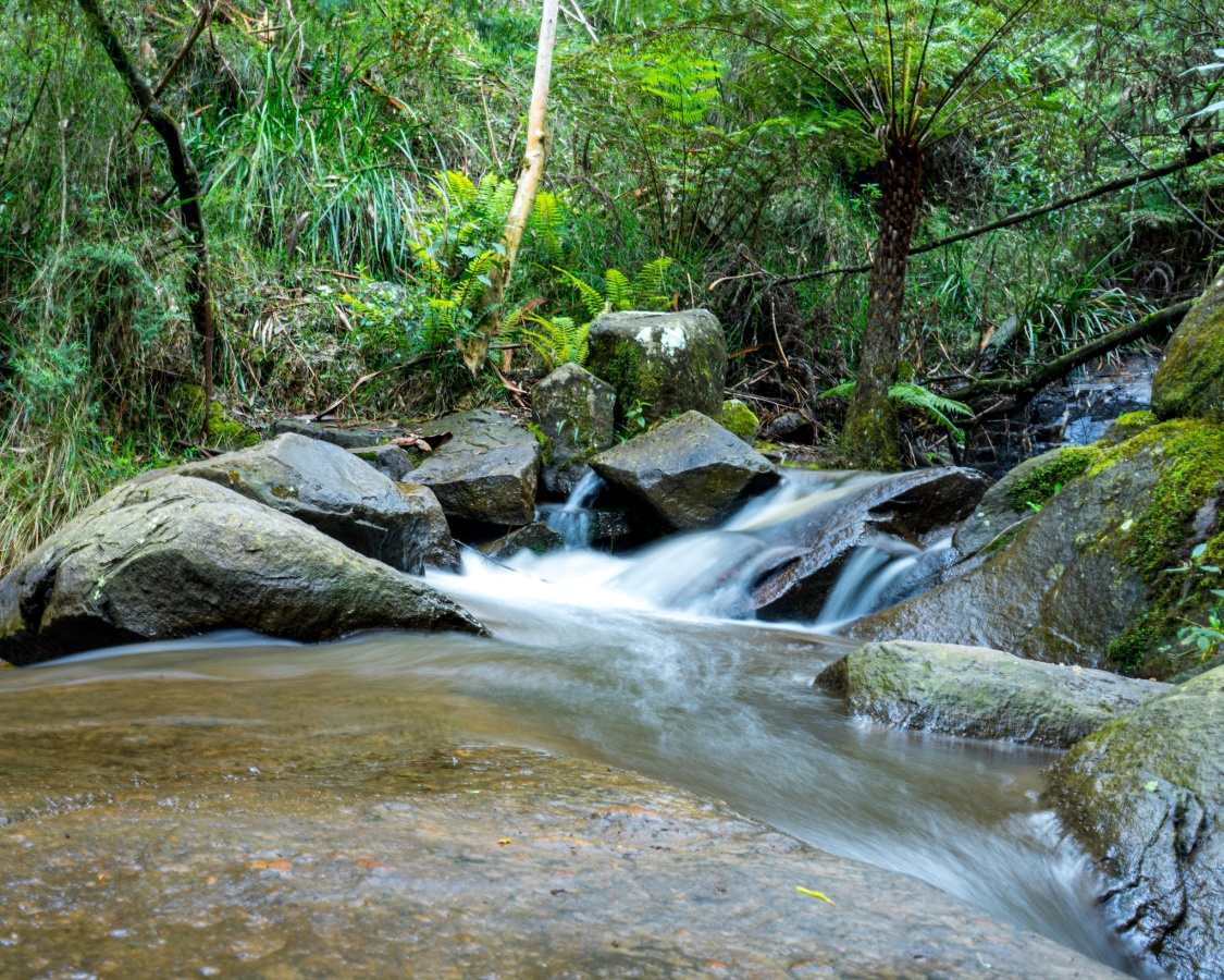 Things To Do In Olinda | localista