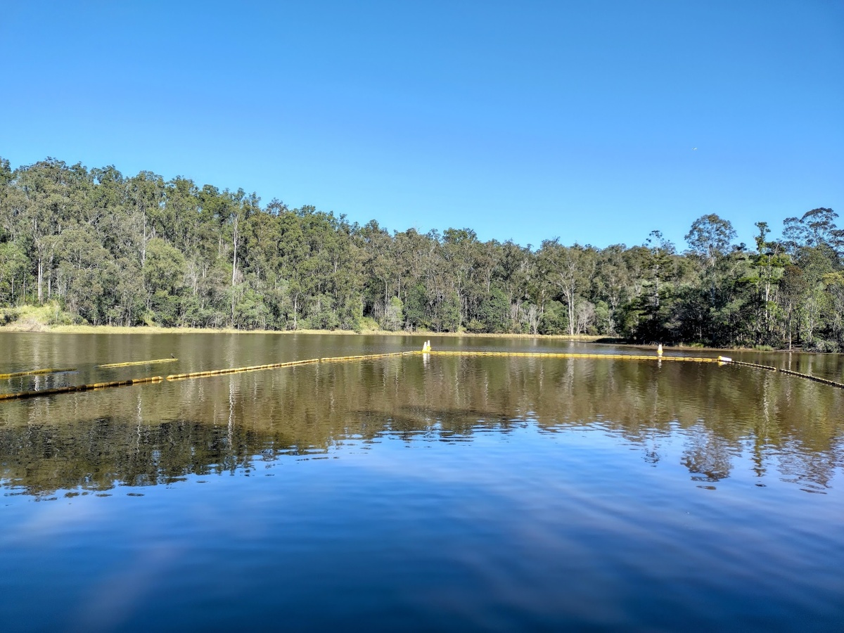 Things To Do In Enoggera Reservoir | localista