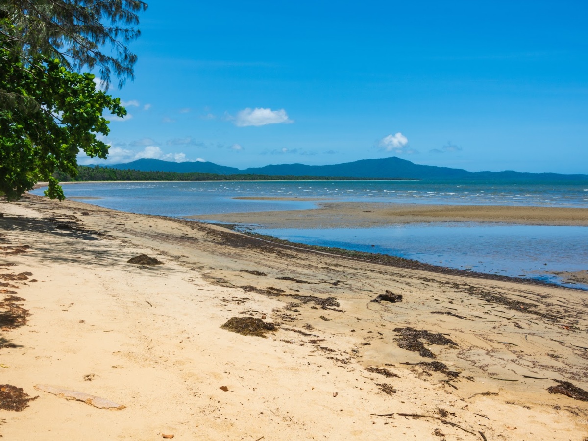 Things To Do In Wonga Beach localista