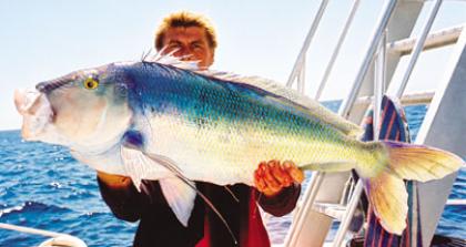 Fishing in Busselton - Busselton Things To Do | Scoop Online
