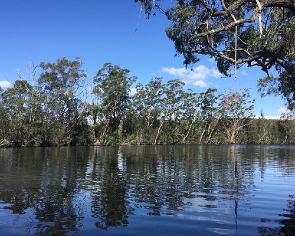 Things To Do In Fishermans Paradise localista