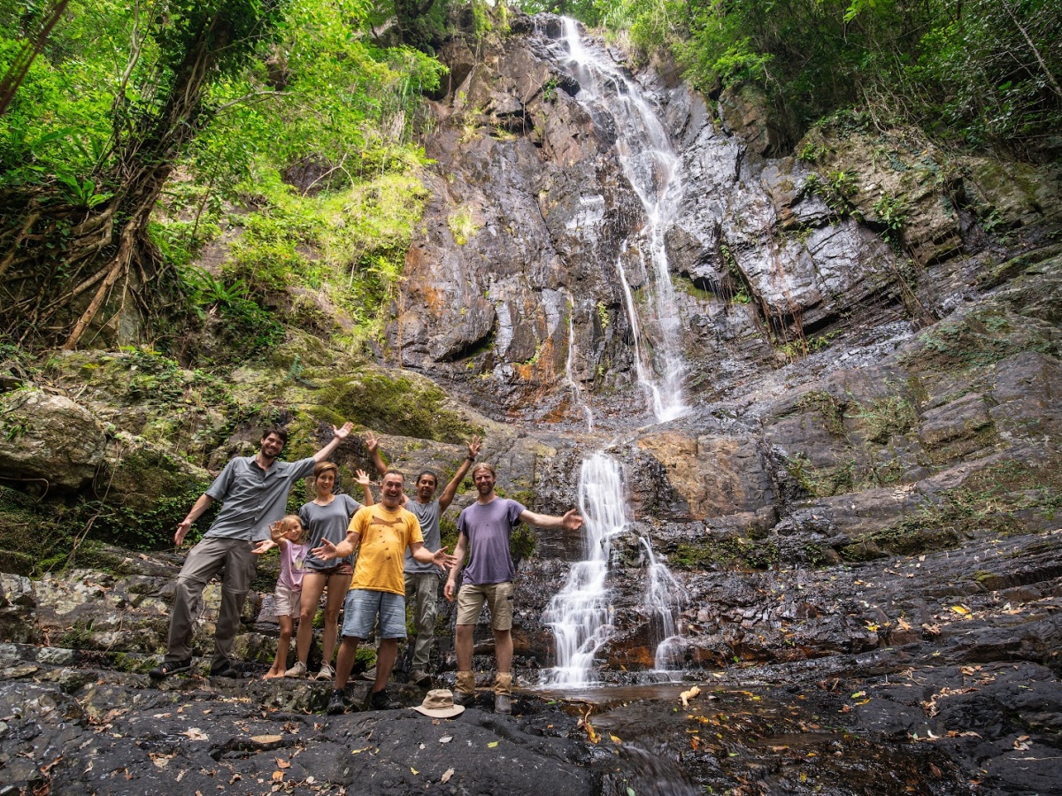 Daintree Experience - Forest Creek Tours | localista